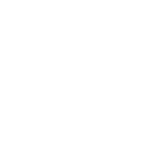 Guías y Válvulas